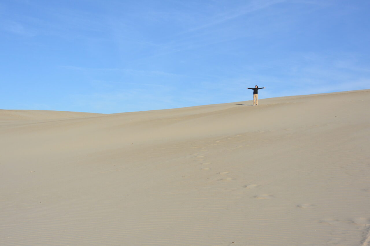 The Living Dune