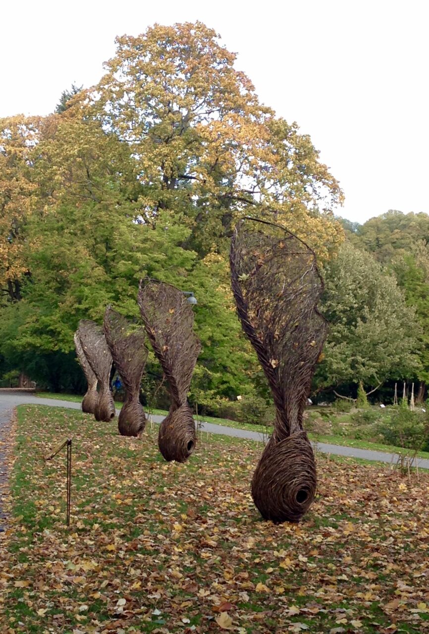 Oslo’s Botanical Garden