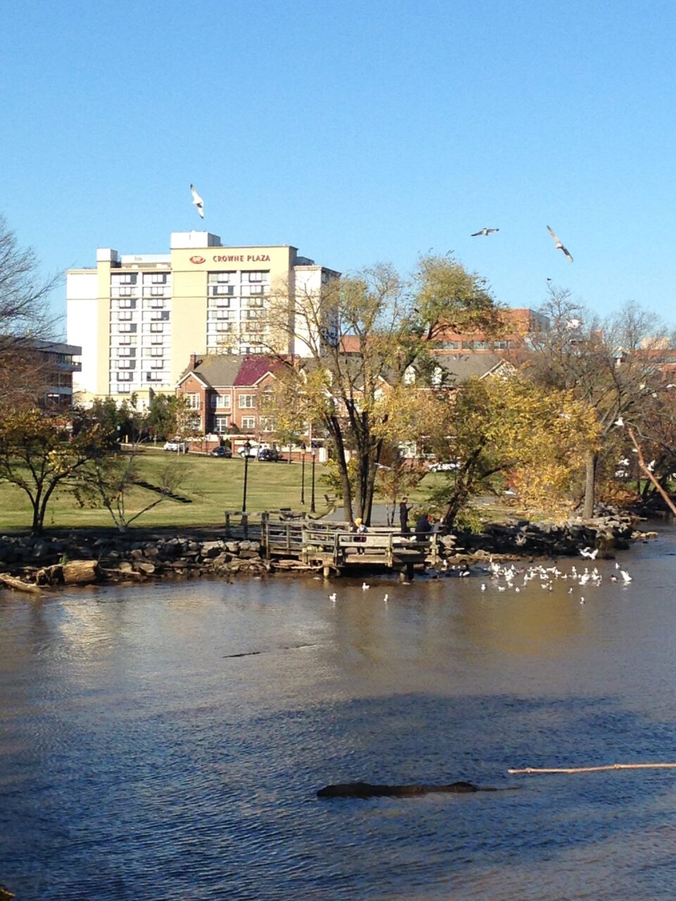 Riverside, Old Town Alexandria Hotel